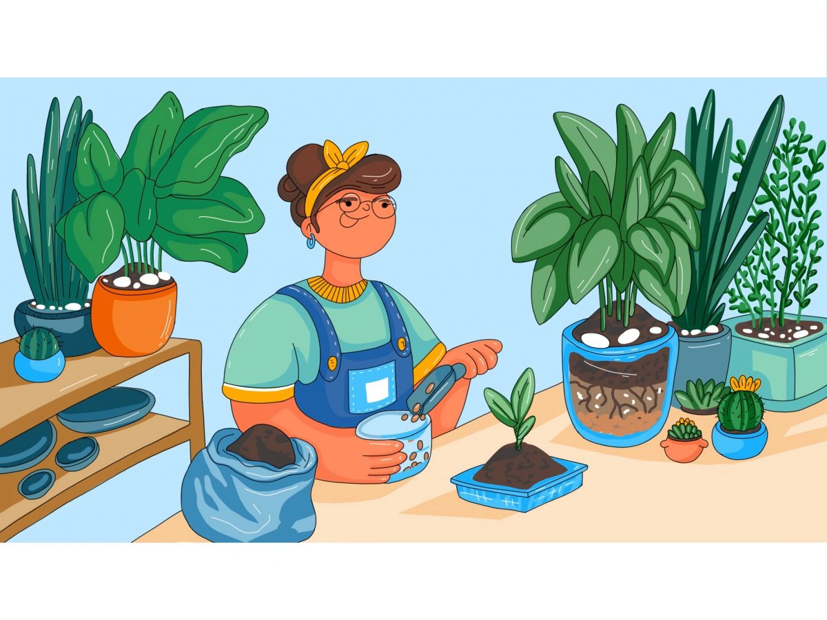 Succesvol worden? Dit is de mindset voor succes